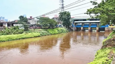 Sungai Ciliwung (Pemprov DKI Jakarta)