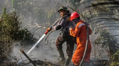 Pemadaman api akibat kebakaran hutan dan lahan di Jambi/Antara