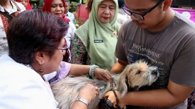 Sudin KPKP Jakpus memberikan vaksinasi hewan peliharaan/pusat.jakarta.go.id