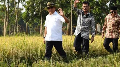 Petani rumput laut di Pulau Pramuka melakukan panen yang mencapai 2,5 ton (pulauseribu.jakarta.go.id)