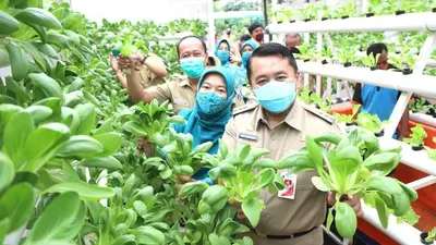 Wali Kota Jakarta Utara Sigit Wijatmoko bersama istri menghadiri panen raya di area Walkot Farm, Jakarta Utara/dok: utara.jakarta.go.id