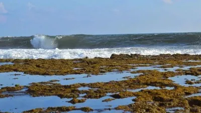 Pantai Minajaya, Kabupaten Sukabumi/Pantainesia