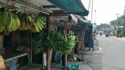 Pedagang Pisang di Jalan Pisangan Lama Resah Diminta Kosongkan Lapak