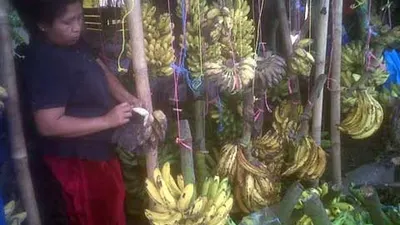 Diminta Kosongkan Lapak, Pedagang Pisang Ingin Diskusi dengan Anies Baswedan