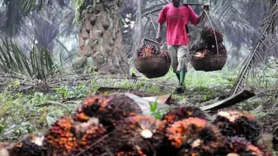 Pekerja memanen tandan buah segar kelapa sawit. (ilustrasi) Foto: Republika/Wihdan Hidayat