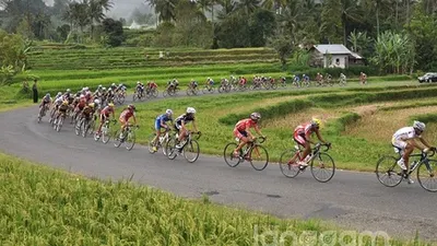 Pembalap Tour de Singkarak/Langgam.id