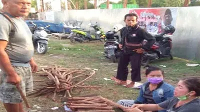 Tanaman Bajakah