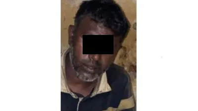 Pije, pembakar mobil Aplhard Via Vallen/ dok