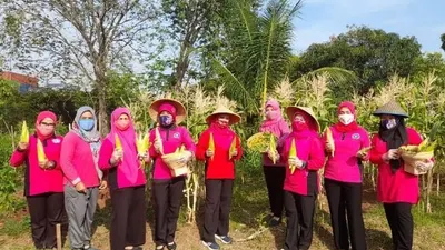 PKK Jakut menghadiri panen raya KWT Cemapaka RW 01 Rorotan/utara.jakarta.go.id