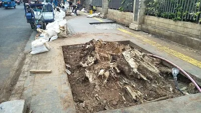 Tanpa Sosialisasi, Penebangan Pohon di Cikini Disesalkan