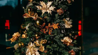 Isu Larangan Perayaan Natal di Sumbar, Ini Penjelasan Mabes Polri