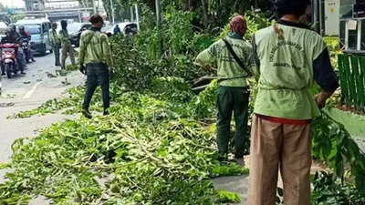 Sepanjang tahun ini, ada 5 ribu pohon du Jakarta Timur sudah dipangkas/dok: beritajakarta.id