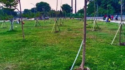 Pohon pelindung dari jenis trembesi, flamboyan dan leda ditanam di RTH Duri Kosambi (barat.jakarta.go.id)
