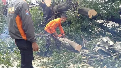 phon tumbang di Kota Bogor/ dok BPBD