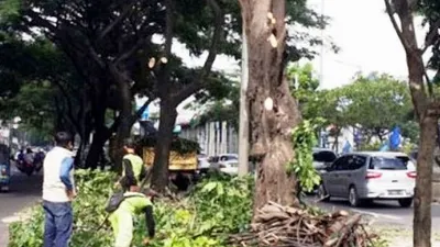 Pemangkasan pohon oleh petugas Sudin Kehutanan Jakbar/barat.jakarta.go.id