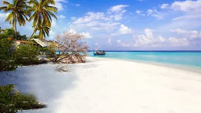 Pulau Pari di Kepulauan Seribu/Blibli.com