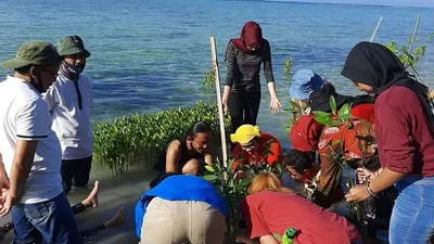 Kegiatan penanaman mangrove di Pulau Tidung Kecil/pulauseribu.jakarta.go.id