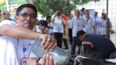 UPH Susu Swadaya Diharapkan Mendongkrak Pendapatan Peternak Sapi Perah