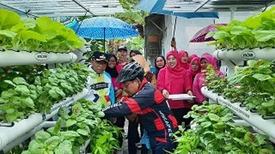 Bupati Kepulauan Seribu Husein Murad melakukan panen perdana sayuran hidroponik di Pulau Kelapa (pulauseribu.jakarta.go.id)