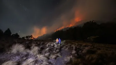 Kebakaran hutan di lereng Gunung Semeru/Kompas