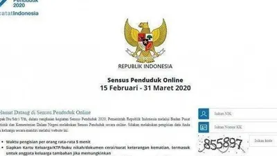 Sensus Penduduk BPS Online Sebaiknya Diperpanjang
