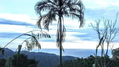 Suasana kampung Baduy Cisimeut (dok Heru Nugroho)