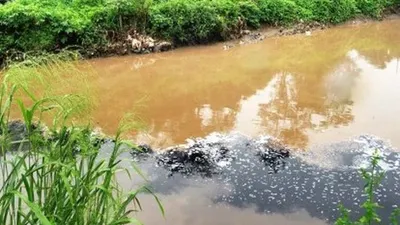 Sungai Ciliwung Depok (republika.co.id)