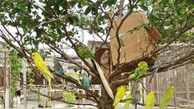 Taman Burung/Jejakpiknik.com