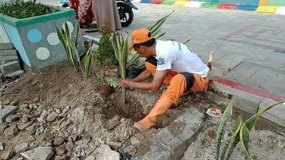 Penanaman tumbuhan penyerap polusi udara di wilayah Kelurahan Pulau Untung Jawa (pulauseribu.jakarta.go.id)