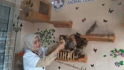 Nurul, salah seorang pengusaha jasa penitipan hewan di Cibinong, Kabupaten Bogor, mengakui bahwa larangan mudik dari pemerintah merugikan bisnisnya di masa jelang Lebaran. (Ayobogor.com/Husnul Khatimah)