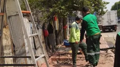 Petugas Sudin Kehutanan Jakbar menebang dan memangkas pohon yang rawan tumbang/barat.jakarta.go.id