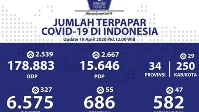 data Covid-19 19 April 2020. (BNPB)