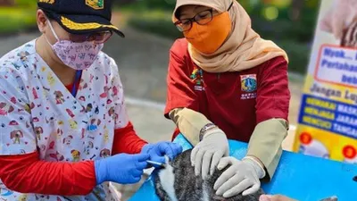 Punya Hewan Peliharaan? Dapatkan Vaksinasi Gratis di Wilayah Jakarta Barat! Catat Tanggal dan Tempatnya
