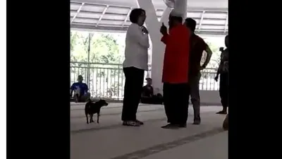 screenshoot video wanita bawa anjing ke masjid