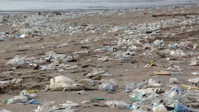 Limbah Plastik (pixabay)