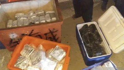 BNN Amankan 100 Kg Narkotika dalam Kotak Ikan. (Antara)