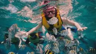 Ilustrasi Snorkling (pixabay)