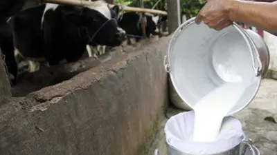 Ini Manfaat Ajaib Susu untuk Wajah
