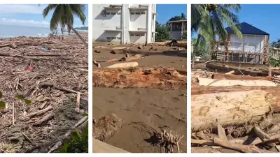 Menhut Usut Asal Muasal Kayu Gelondongan Penyebab Banjir Sumatera, Klaim Data Awal Sudah Dikantongi