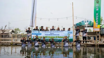 Hutan Mangrove Baru Subang Tumbuh! Berkat Bantuan bank bjb, Wilayah Pesisir Siap Menjadi Lebih Hijau