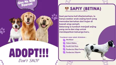 Syarat adopsi hewan anjing untuk peliharaan dari Puskewan DKI Jakarta (Sumber: Instagram @pusyankeswannak.jakarta | Foto: Instagram @pusyankeswannak.jakarta)