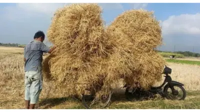 Jerami jadi Bahan Baku Pembuatan BOBIBOS (Sumber: rsijsukapura.co.id)