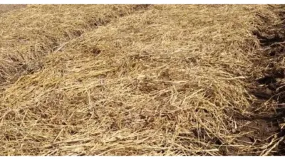 Tahap Produksi Pengolahan Jerami hingga Jadi Bahan Bakar Ramah Lingkungan, Ternyata BOBIBOS Punya Mesin Khusus Ini