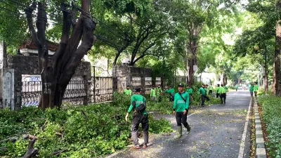 Hadapi Cuaca Ekstrem hingga Desember 2025! Distamhut Punya Posko Pohon Tumbang 24 Jam Penuh