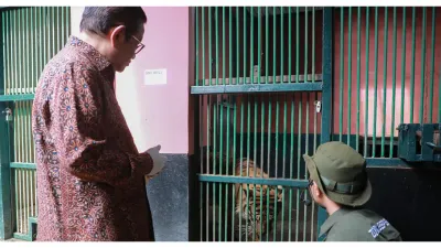 Pramono Anung Pastikan Kondisi Harimau di Ragunan Sehat (Sumber: beritajakarta.id/ Reza Pratama Putra)
