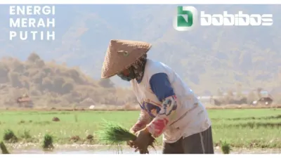Bahan Bakar dari Jerami Bukan Etanol, tapi Hidrokarbon yang Cocok untuk Mesin, Ini Penjelasan Pakar IPB