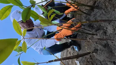 Komitmen PNM untuk Lingkungan: Tambah 87.078 Pohon Sepanjang 2025