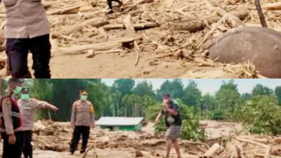 Bangkai Gajah Sumatera ditemukan di puing-puing kayu Kawasan Mareudu, Kabupates Pidie Jaya, Aceh pada Sabtu, 29 November 2025. (Sumber: X@aceh | Foto: X@aceh)
