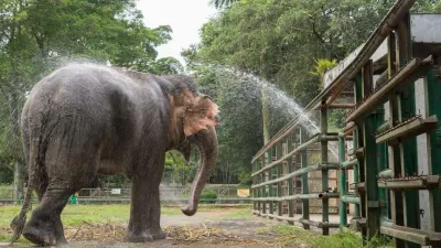 Harga Tiket Masuk Wisata Malam di Kebun Binatang Ragunan, Buka Setiap Hari Sabtu Mulai Pukul 18.00