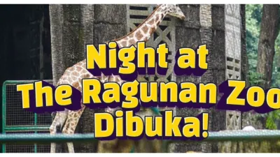 Night at The Ragunan Zoo Dibuka Malam Ini, Ada Keseruan Apa Aja? 